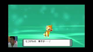 【ポケモンダイパ】ヒコザル→モウカザル進化