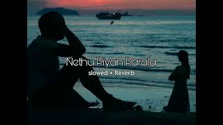 Nethu piyan parala | නෙතු පියන් (slowed + reverb)