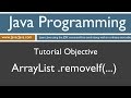 Learn Java Programming - ArrayList removeIf Method Tutorial