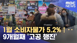 1월 소비자물가 5.2%↑‥9개월째 '고공 행진' (2023.02.02/12MBC뉴스)