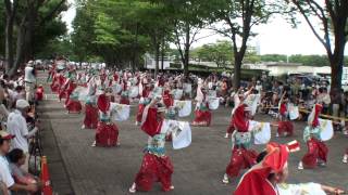 原宿よさこい連　～2013スーパーよさこい・１日目(ＮＨＫ前ストリート)