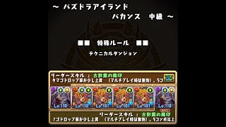 【パズドラ】パズドラアイランド中級　ヴェロア×ヴェロア