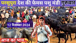 परशु पुरा पशु बाजार इटावा | Parsu pura Pashu bazar Etawah | 12/12/2024 | फेमस पशु बाजार