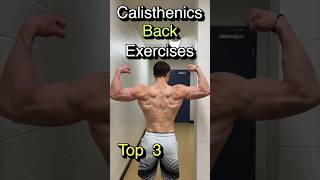 Best Calisthenics Back exercises