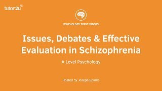 Issues, Debates and Effective Evaluation in Schizophrenia