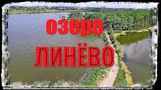 Озеро ЛИНЁВО, Рубежное. Обзорчик водоёма