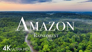 Amazon in 4K - The World’s Largest Tropical Rainforest | Aerial Drone | Scenic Relaxation Film