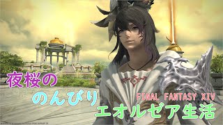 【FF14】今週の幻白虎を消化したい！【夜霧桜花】