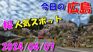 【 今日の広島 】 2024/04/07 (日)・その２