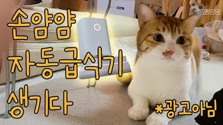 [집사 v-log] 고양이 인싸템, 자동급식기를  사줘봤다...feat.바램펫 밀리 Yamyam got a new bowl! Pet feeder howl Eng Sub [그냥이들]