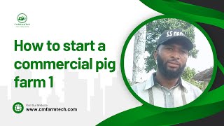 How to Start a Commercial Pig farm | Pig farming in Nigeria