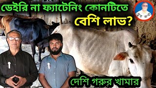 ডেইরি না ফ্যাটেনিং কোনটিতে লাভ?  দেশি গরুর খামার। Cow farming. যুব কথা - রায়হান দেওয়ান