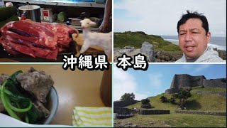 【沖縄県本島】おっさん一人旅。世界遺産にクチコミ1000件以上のスポット。ヤギさしみに骨汁などの沖縄料理に大満足の7泊8日69446円。