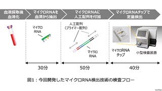 血液1滴でガンを検出 東芝 2020年から実証試験