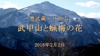 奥武蔵・日向山　2016 2 2