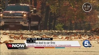 Piles of leaves cause car fires