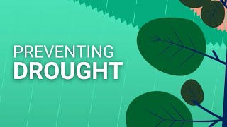 How nature can protect us from droughts