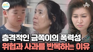 !충격 영상! 할머니 뺨을 때렸다?! 위협과 사과를 반복하는 금쪽이의 심리 | 요즘 육아 금쪽같은 내새끼 184 회