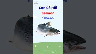 Con Cá Hồi - Học từ vựng và phát âm tiếng Anh #thaytuvuitinh