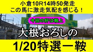 【競馬予想】1月20日の特選一鞍【大根おろし】