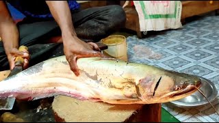 Giant Wallago (Attu  Bola)  Fish Cutting and Egg Collection Skills | CuttingWorld24*7