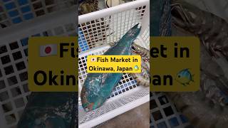 🇯🇵How to eat at Makishi Fish Market in Okinawa, Japan\u0026 how much it costs! #shorts #okinawa #travel