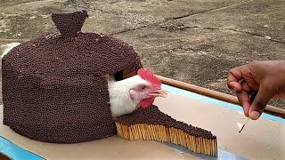 200,000 Match Sticks Vs Chicken,