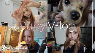 [PRIMROSE VLOG] 루비의 설 휴가 브이로그🐾ㅣ루비와 함께하는 겟레디윗미✨ 흔한 명절 할머니집 풍경🏠