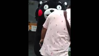 くまモン～福岡市役所～20120608