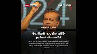 චන්ඩිකම් කරන්න අපිට ලයිෂන් තියෙනවා! - News Sinhalen | Breaking News Sri Lanka