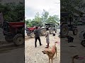 swaraj 855 vs swaraj 744 xt tochan swarajtractor