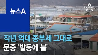 작년 억대 종부세 그대로…문중 ‘세금 마련’ 발등에 불 | 뉴스A