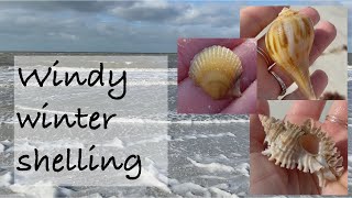 Florida shelling after days of strong winds. The beach was full of amazing treasures!