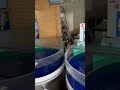 【桂浜】桂浜水族館【高知県】 桂浜＃桂浜水族館＃龍王岬 高知県