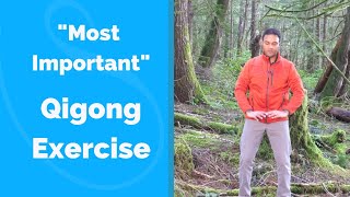 "Most Important" Qigong Exercise for Beginners