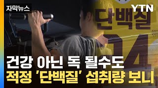 [자막뉴스] 몸 키우려다 몸 상한다...요즘 인기 '단백질' 적당한 섭취량은 / YTN