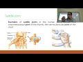 live class on joints and classification of joints