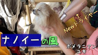 パナソニックのナノイードライヤーは犬にも効果あるの？？【ポメラニアン♀ユキ】