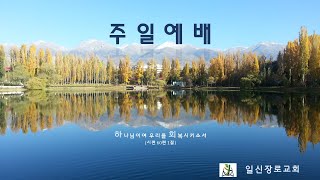 2025. 2. 23.    주일예배    본문: 열왕기하 12장 1-8절