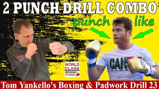 2 Punch Drill Combination for Home | How to Punch like Canelo Alvarez