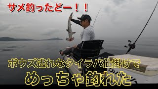 福岡 カヤックフィッシング最高！サメ　kayak fishing shark