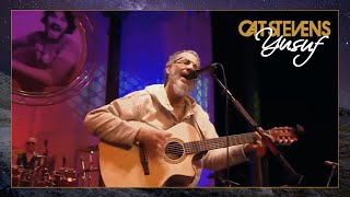Yusuf / Cat Stevens - Man With No Country (Concert for Jim Capaldi, London, 2007)