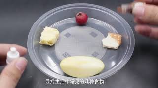 【亲子趣味实验】  023  检测食物中的淀粉