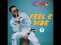 feel e vibe duro entertainment x ty