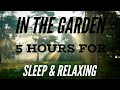 In The Garden - Beautiful hymn (5 Hours for Sleeping & Relaxing)