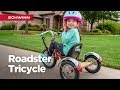 Schwinn Roadster Trike - Kid's Tricycle