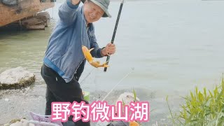 野钓微山湖张白庄码头，鲫鱼狂口连杆，一会钓上四五斤