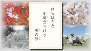 テレビ愛媛「きょうの俳句」「息白し言葉さがしてゐるときの」野間叟柳作　2017年12月15日放送（No.234）