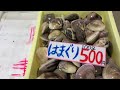 道の駅笠岡ベイファーム直売所鮮魚コーナー12／15