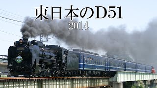 東日本のD51(2014)